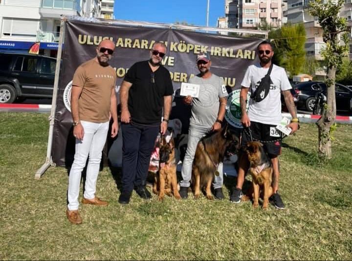 Antalya Uluslararası Köpek Irkları Şampiyonası  